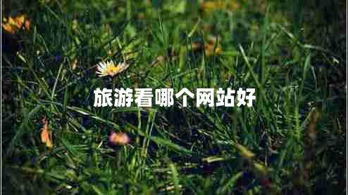 旅游看哪個網(wǎng)站好
