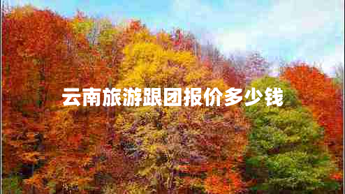 云南旅游跟團(tuán)報(bào)價(jià)多少錢