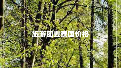 旅游團(tuán)去泰國(guó)價(jià)格