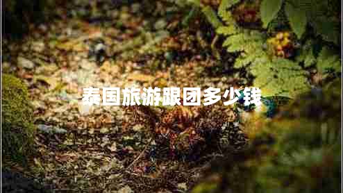 泰國旅游跟團多少錢