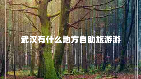 武漢有什么地方自助旅游游 武漢有什么地方自助旅游游