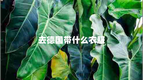去德國(guó)帶什么衣服
