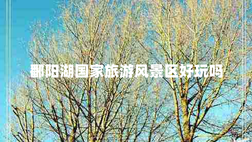 鄱陽湖國家旅游風景區(qū)好玩嗎