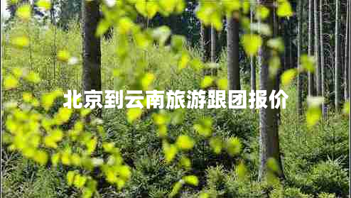 北京到云南旅游跟團(tuán)報(bào)價(jià)
