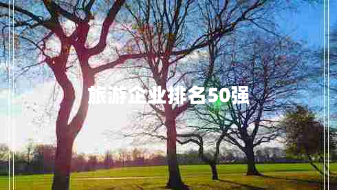 旅游企業(yè)排名50強(qiáng)