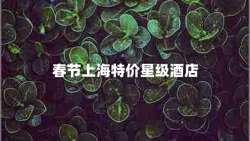春節(jié)上海特價(jià)星級(jí)酒店