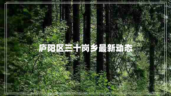 廬陽區(qū)三十崗鄉(xiāng)最新動(dòng)態(tài)