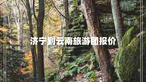 濟(jì)寧到云南旅游團(tuán)報價