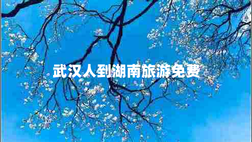 武漢人到湖南旅游免費(fèi)