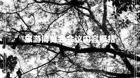 旅游博覽會(huì)會(huì)議內(nèi)容概括