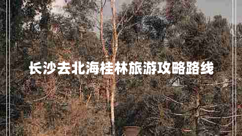 長(zhǎng)沙去北海桂林旅游攻略路線