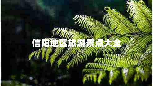信陽地區(qū)旅游景點(diǎn)大全