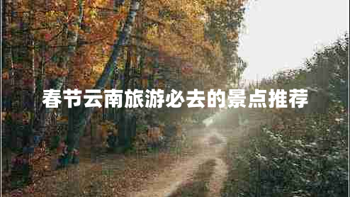 春節(jié)云南旅游必去的景點推薦