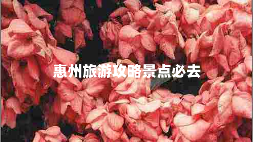 惠州旅游攻略景點必去