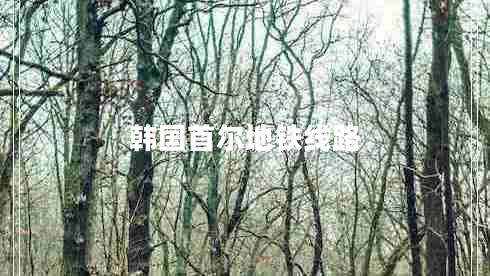 韓國首爾地鐵線路