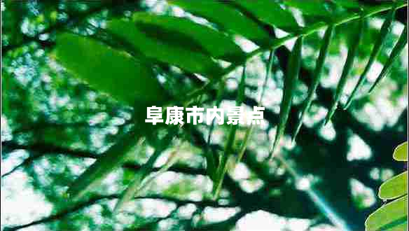 阜康市內景點