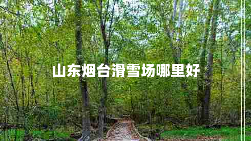山東煙臺(tái)滑雪場哪里好