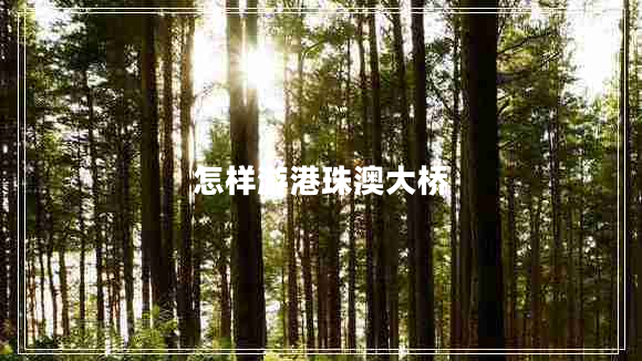 怎樣游港珠澳大橋 怎樣游港珠澳大橋