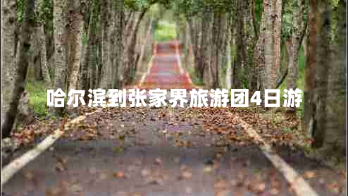 哈爾濱到張家界旅游團(tuán)4日游
