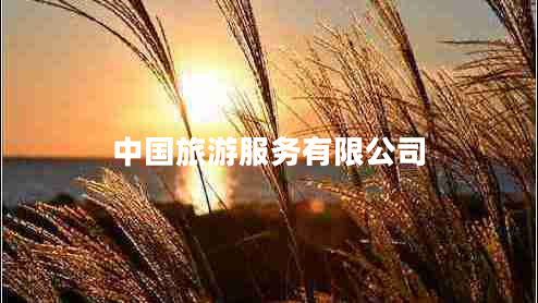 中國旅游服務有限公司