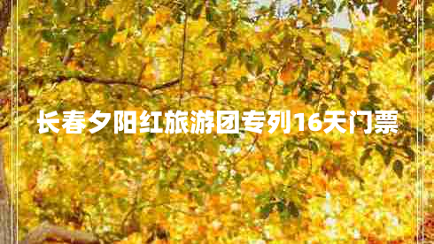長(zhǎng)春夕陽紅旅游團(tuán)專列16天門票