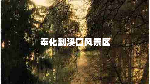 奉化到溪口風景區(qū)