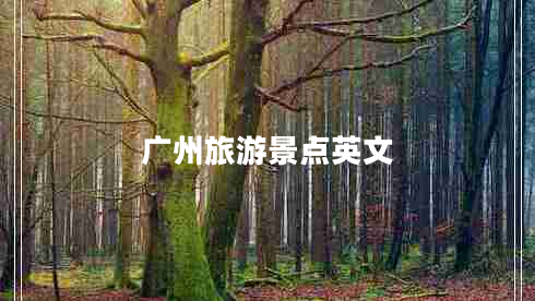 廣州旅游景點(diǎn)英文