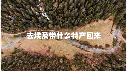 去埃及帶什么特產(chǎn)回來