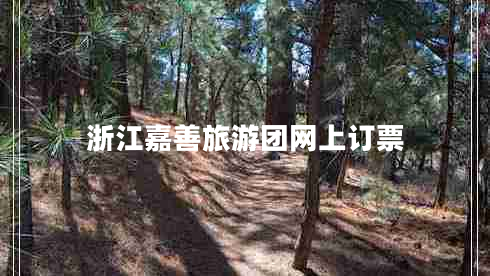 浙江嘉善旅游團(tuán)網(wǎng)上訂票