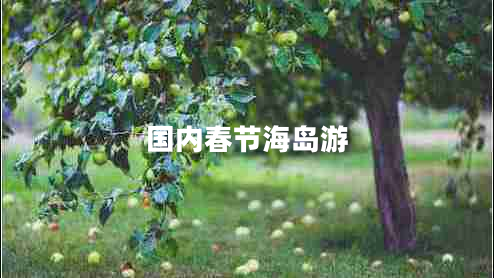國(guó)內(nèi)春節(jié)海島游