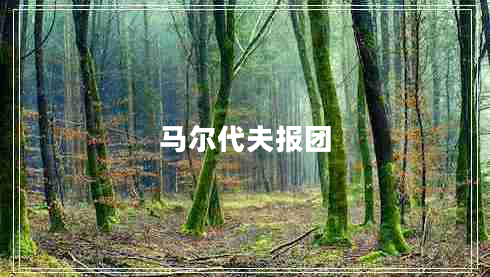 馬爾代夫報(bào)團(tuán)