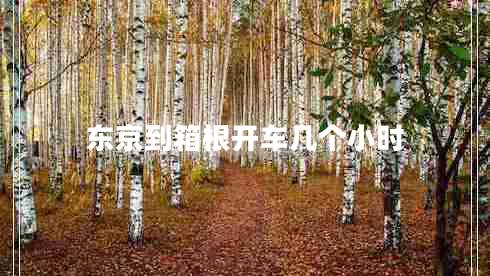 東京到箱根開車幾個(gè)小時(shí)