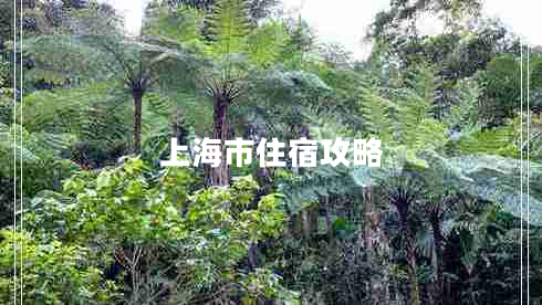 上海市住宿攻略 上海市住宿攻略