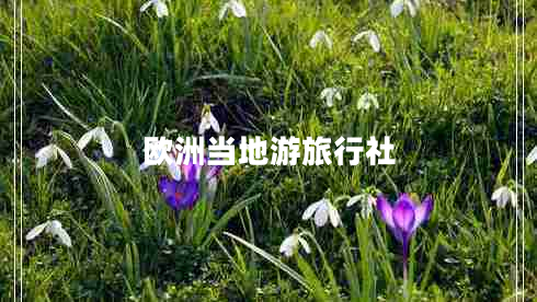 歐洲當?shù)赜温眯猩? title=