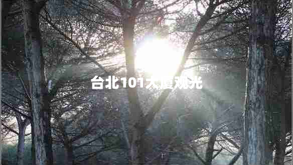 臺北101大廈觀光