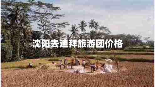 沈陽去迪拜旅游團價格