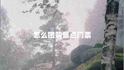 怎么團(tuán)購(gòu)景點(diǎn)門票
