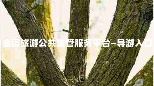 全國旅游公共監(jiān)管服務(wù)平臺(tái)—導(dǎo)游入口