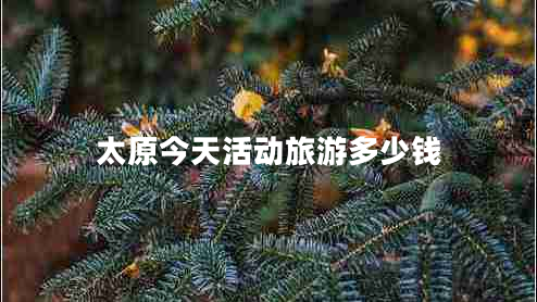 太原今天活動(dòng)旅游多少錢