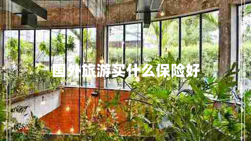 國(guó)外旅游買(mǎi)什么保險(xiǎn)好