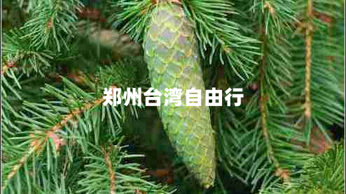 鄭州臺(tái)灣自由行