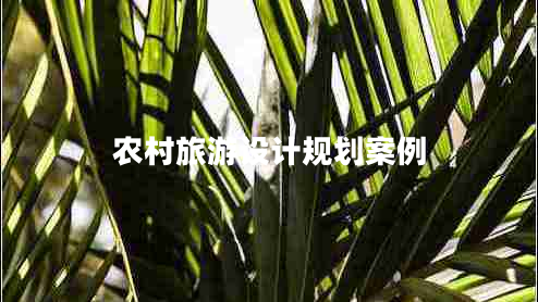 農(nóng)村旅游設(shè)計(jì)規(guī)劃案例