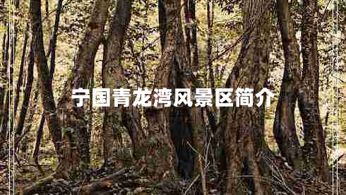 寧國(guó)青龍灣風(fēng)景區(qū)簡(jiǎn)介