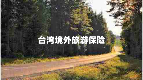 臺灣境外旅游保險