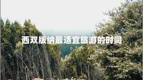西雙版納最適宜旅游的時間