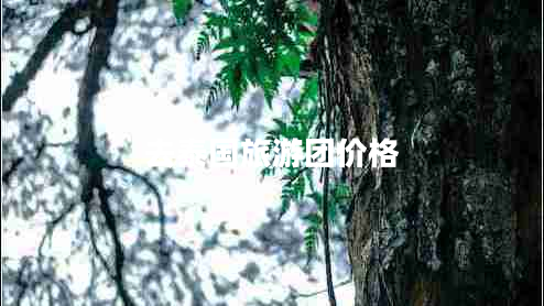 去泰國旅游團(tuán)價(jià)格