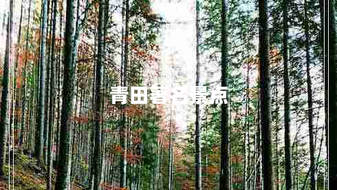 青田著名景點