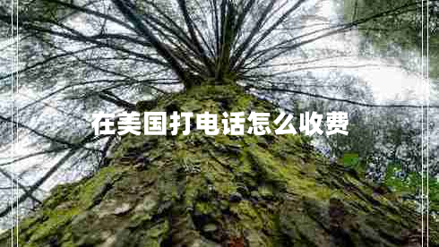在美國打電話怎么收費(fèi)
