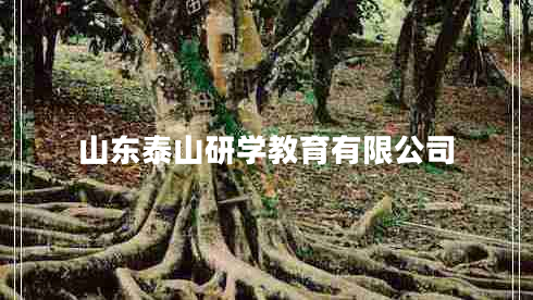 山東泰山研學教育有限公司