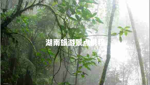 湖南旅游景點攜程